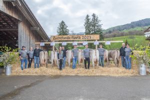 78 FLAVIA CH 120.1160.1460.8 BG St.Johann IMGL5018